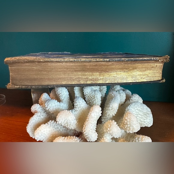 Decorum: A Practical Treatise on Etiquette & Dress of the Best American Society - Picture 15 of 16